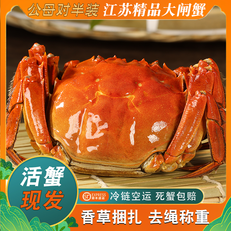 【江苏活蟹】大闸蟹 公(3.3-3.0两)母(3.0-2.7两) 6-10只 顺丰包邮X