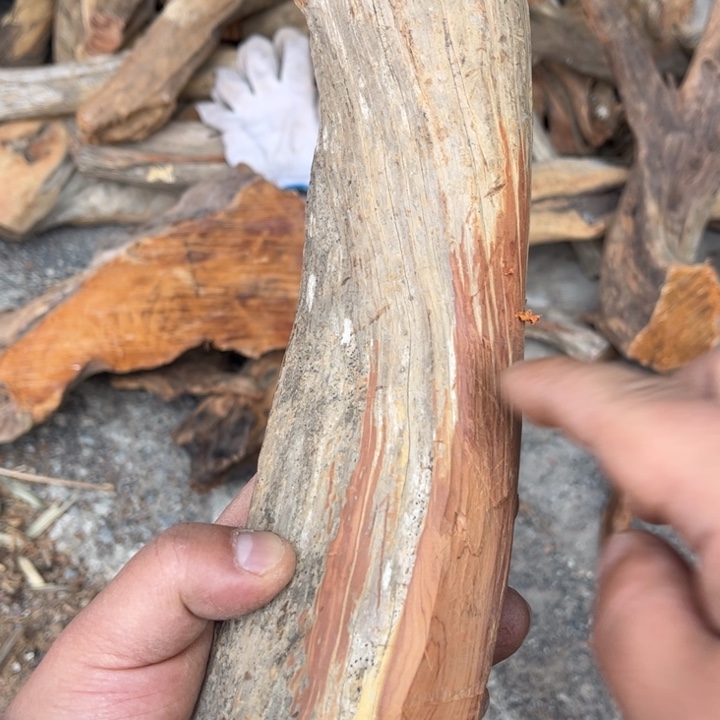 香榧木太行崖柏香料