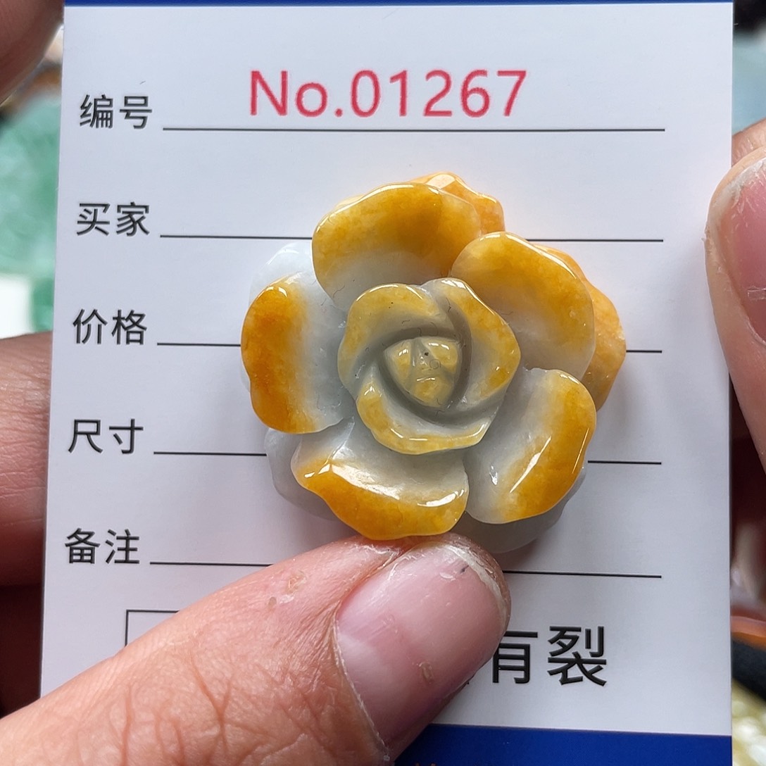 翡翠颈饰未镶嵌翡玉缘翡翠