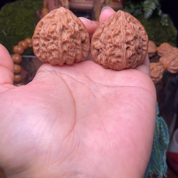 三角白    38全品