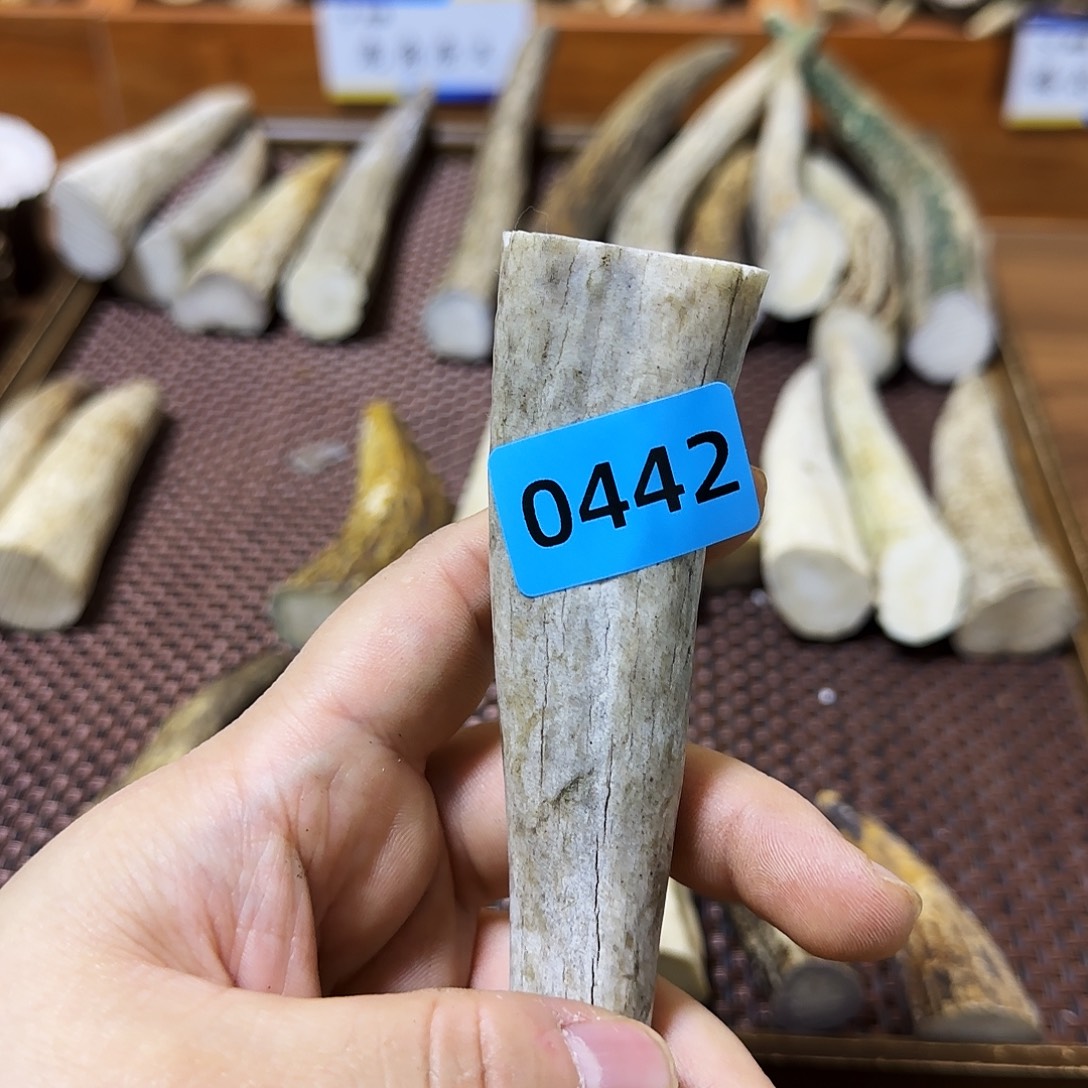 手串/手链鹿骨角尖0442