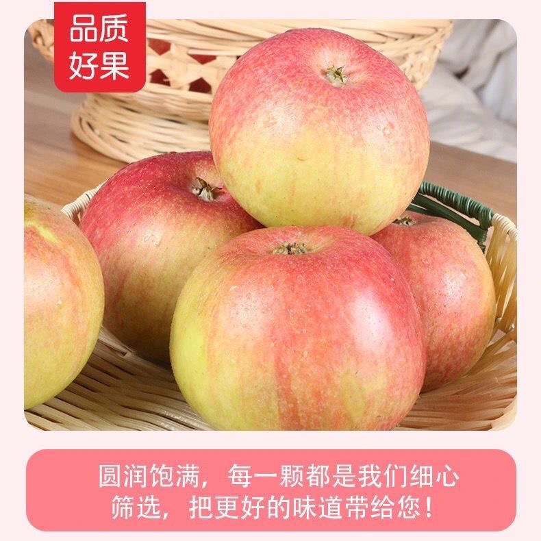 当季苹果2025东北国光苹果酸甜老树苹果当季水果4.5斤带箱五斤