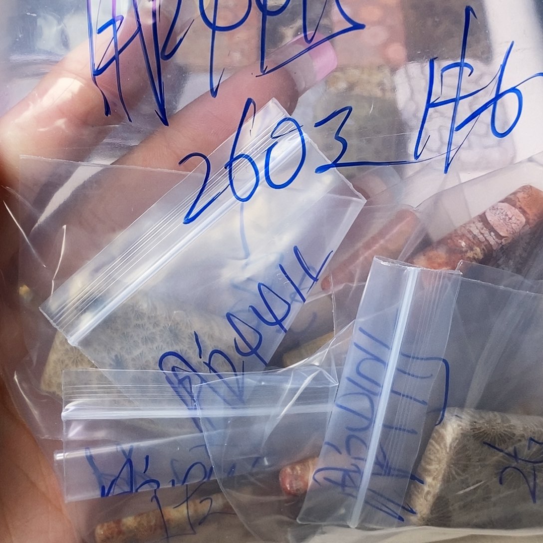 硅化玉颈饰合金用****5