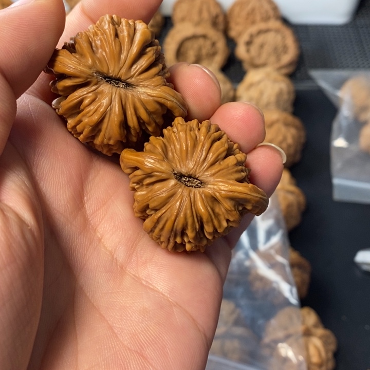 @***@桃核把件3567544577