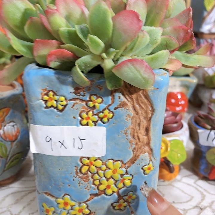 多肉花盆，满15包邮