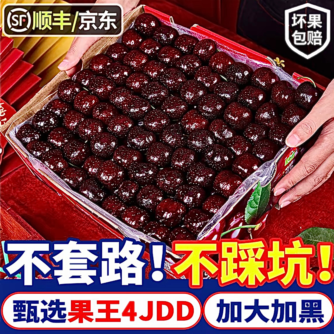 【5斤原箱】智利进口3JD4JD车厘子桑提娜海运内附果径卡顺丰