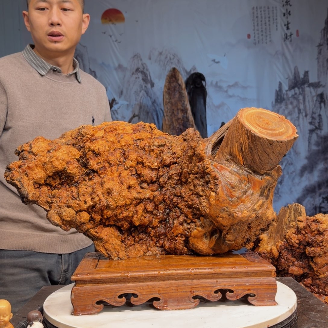 惊***艳木三丰琥珀木 天然摆件37