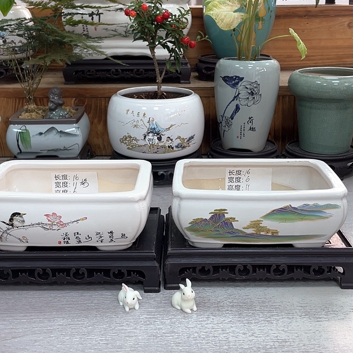 陶瓷花盆紫砂花盆抢购福利