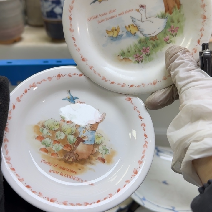 瓷片开播啦…开播啦！