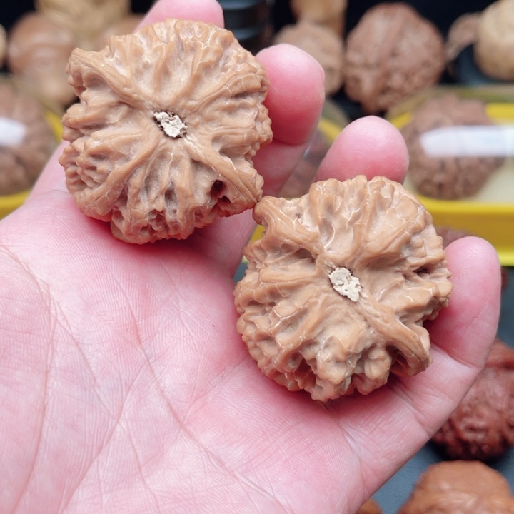 文玩核桃把件苹果园狮子头43×43×36