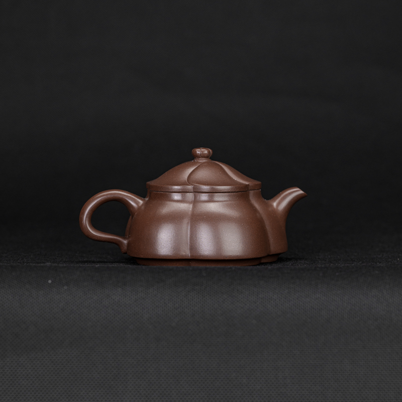 紫泥五瓣梅251610006