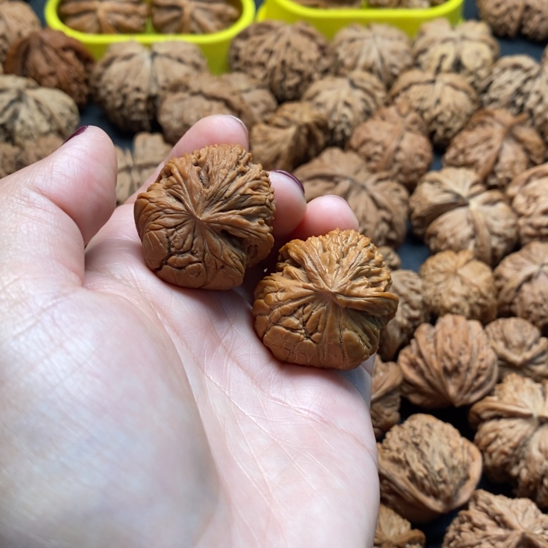 把件文玩核桃30南疆石蛇头