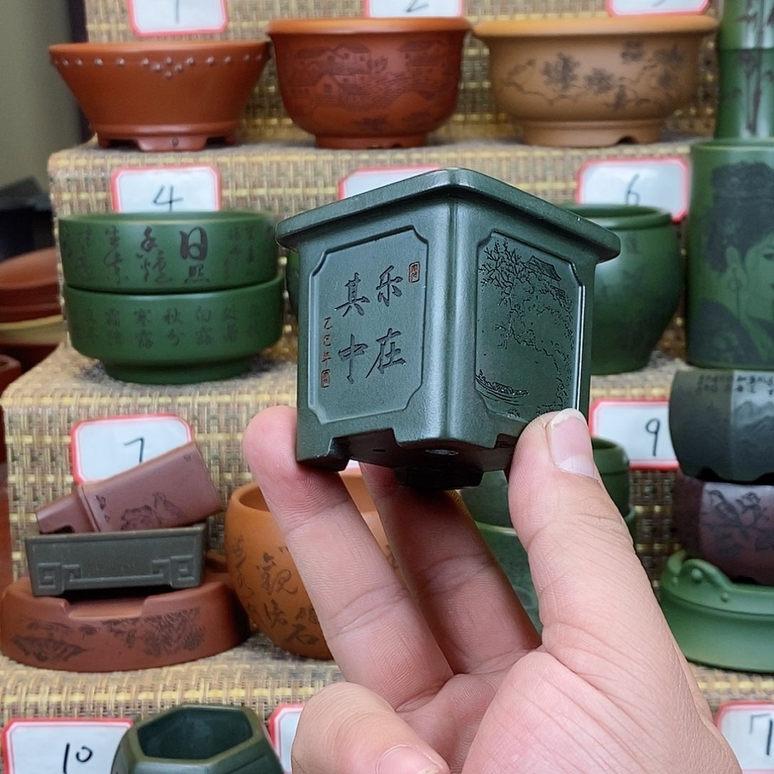 紫砂花盆我在等他来