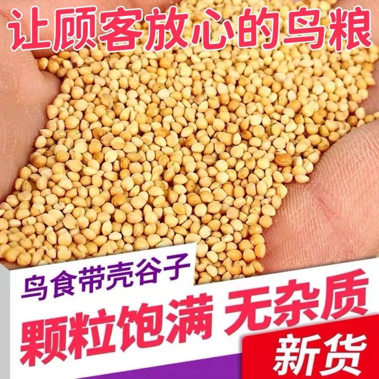 天然虎皮专用饲料粟子谷子带壳小米鸟食鸟粮牡丹玄凤营养混合鸟粮