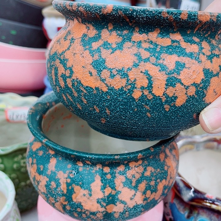 多肉植物陶瓷花盆