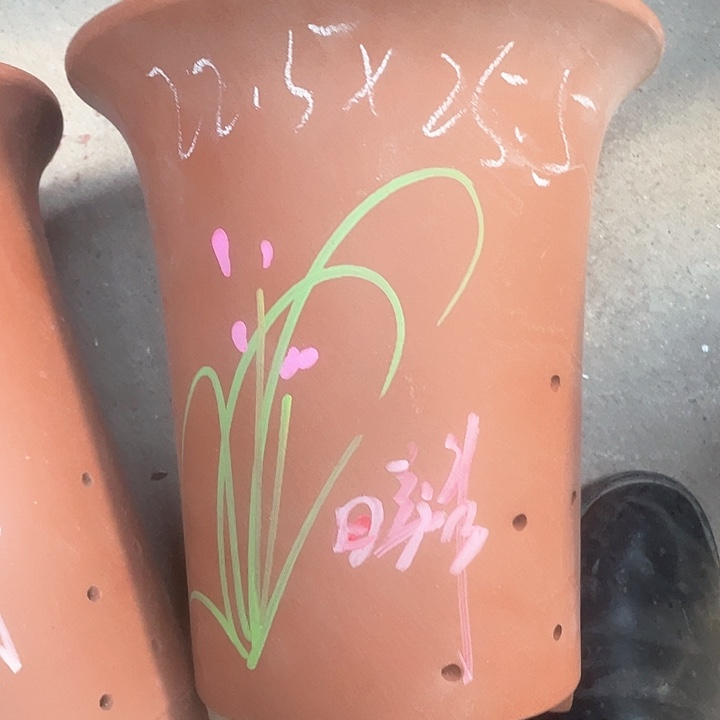 红陶紫砂紫砂z s c