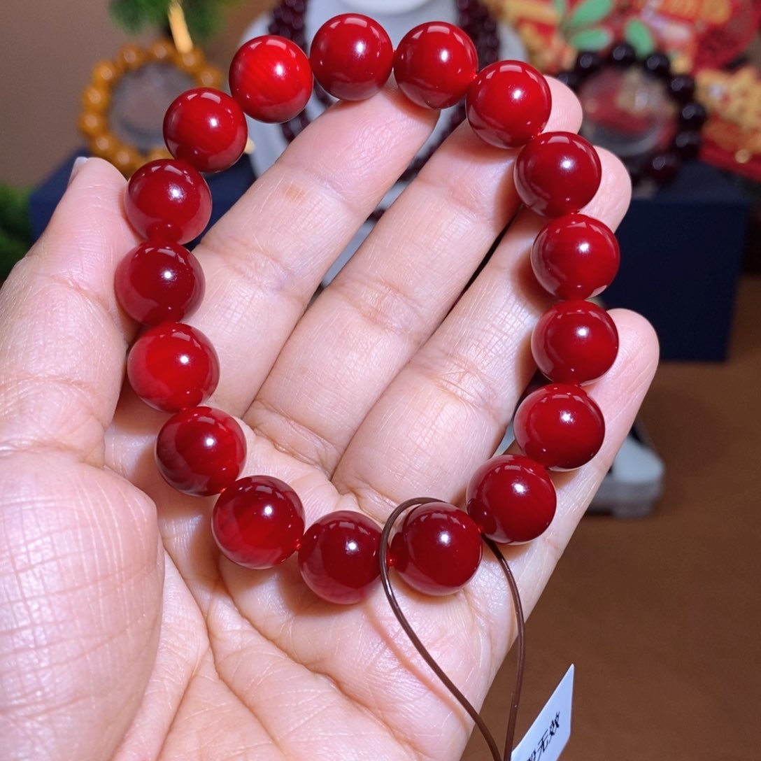 贝壳杉帝王血龙木1.2