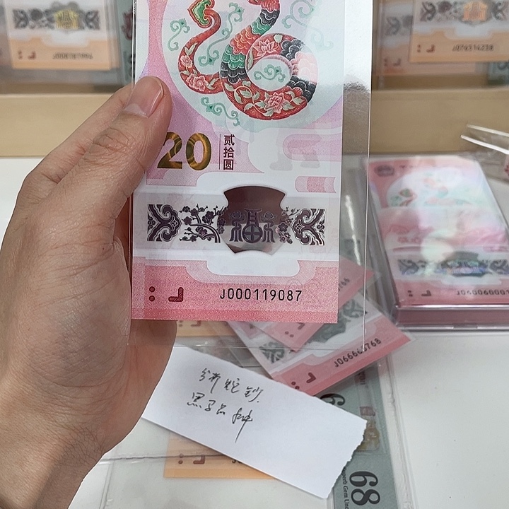 塑料蛇钞-9087————————