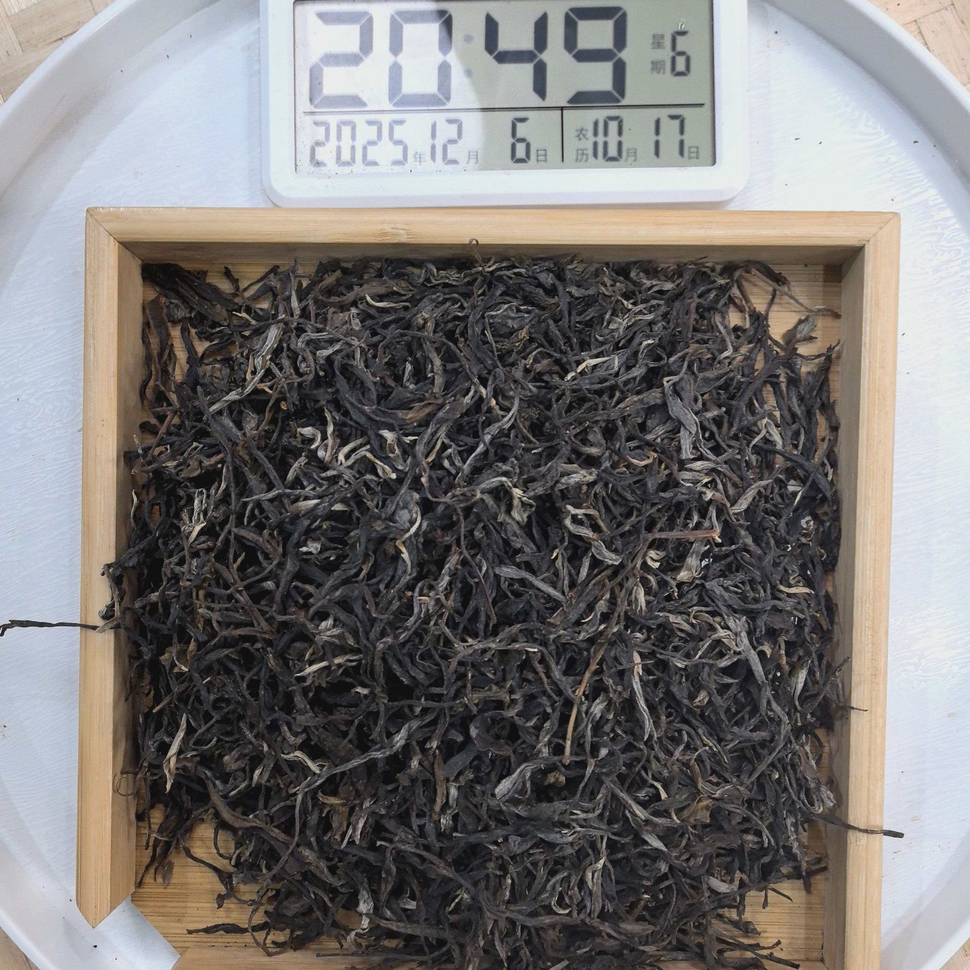 刀刃严选-2805号2023年麻栗坡大树古树混采春生茶散茶12-06