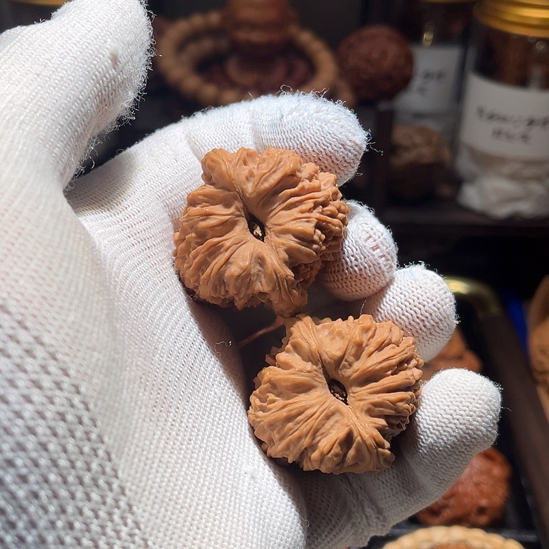 吊坠文玩核桃一代逐鹿南疆