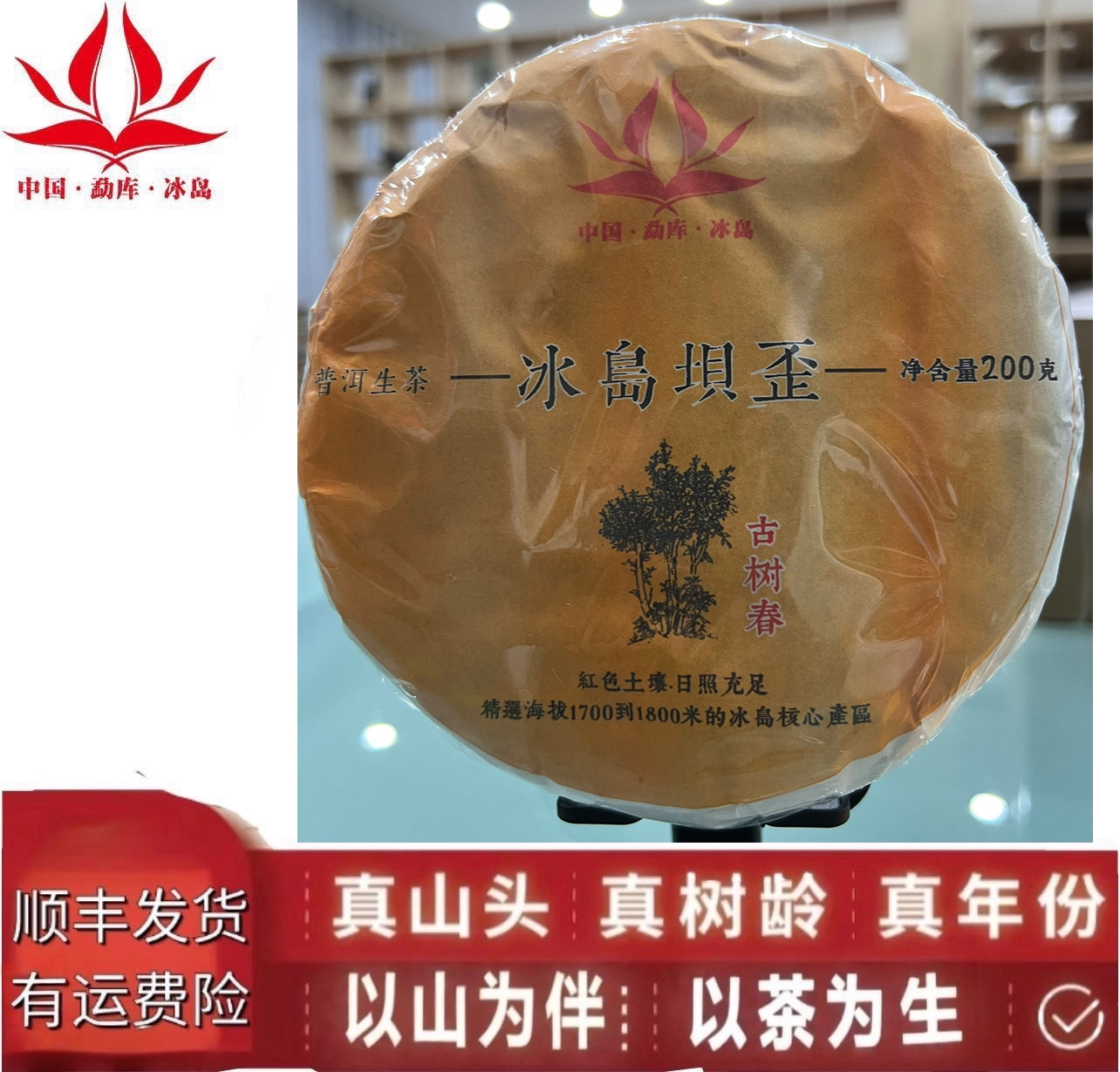 保真·「2022冰岛坝歪古树春」200克生茶饼