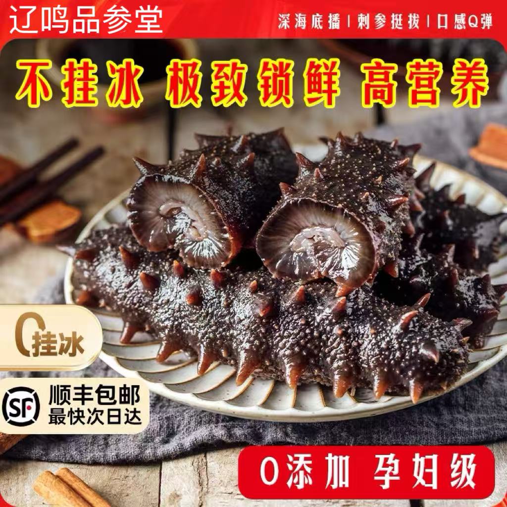 【特惠鲜蒸蒸食大参王】4-6头/斤即食辽刺参滋补佳品