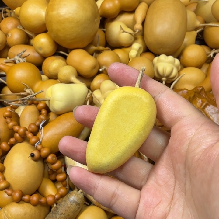 上****竹类芒果手把葫芦