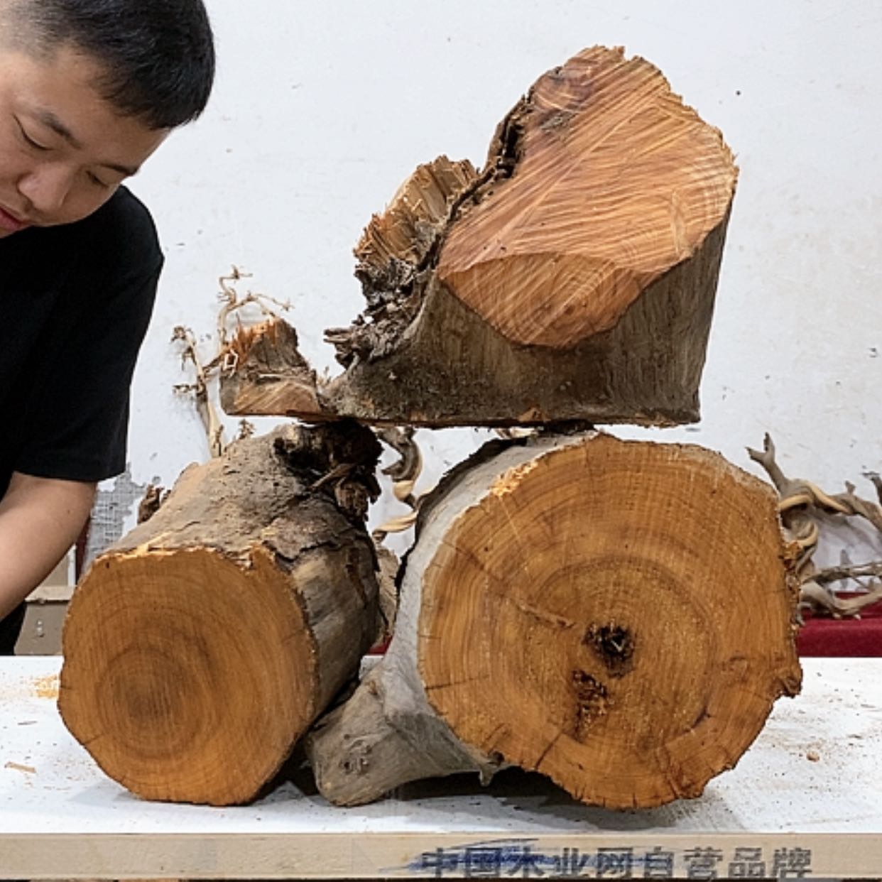【闪购商品】柏木新**夫我们都是好孩子