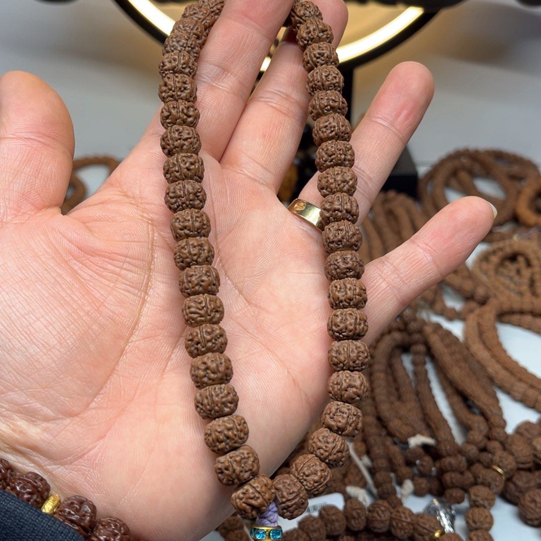 金刚菩提手串藏切纯血老树王