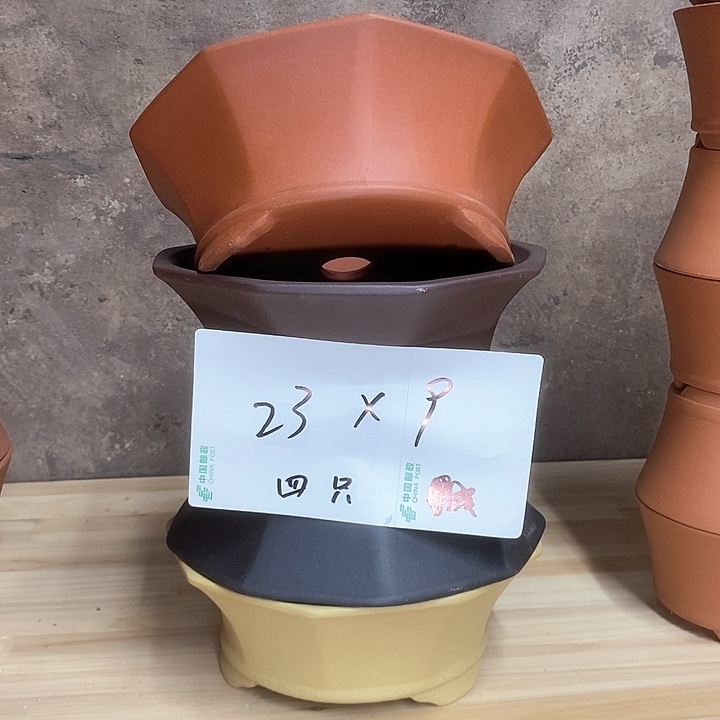 紫砂花盆我在外面