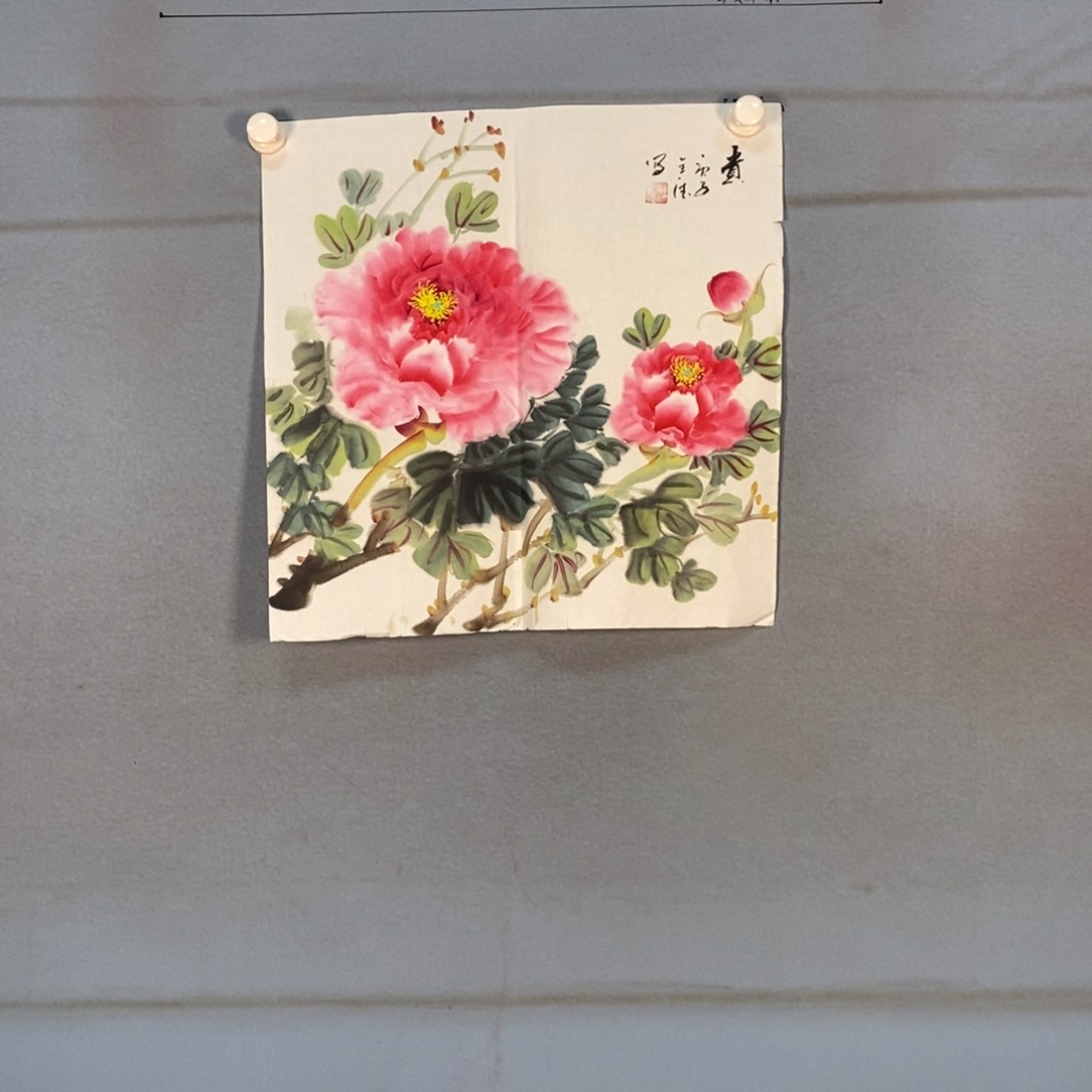 国画248牡丹花盛开的时候