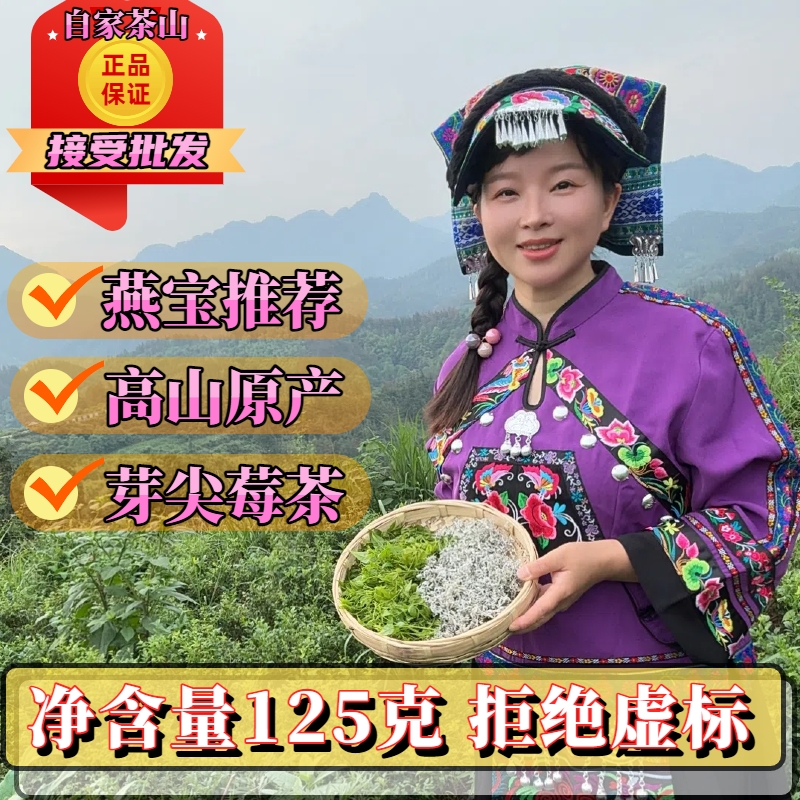 （2025年高山莓茶头春头采）美丽湘西张家界永顺正宗莓茶春茶芽尖