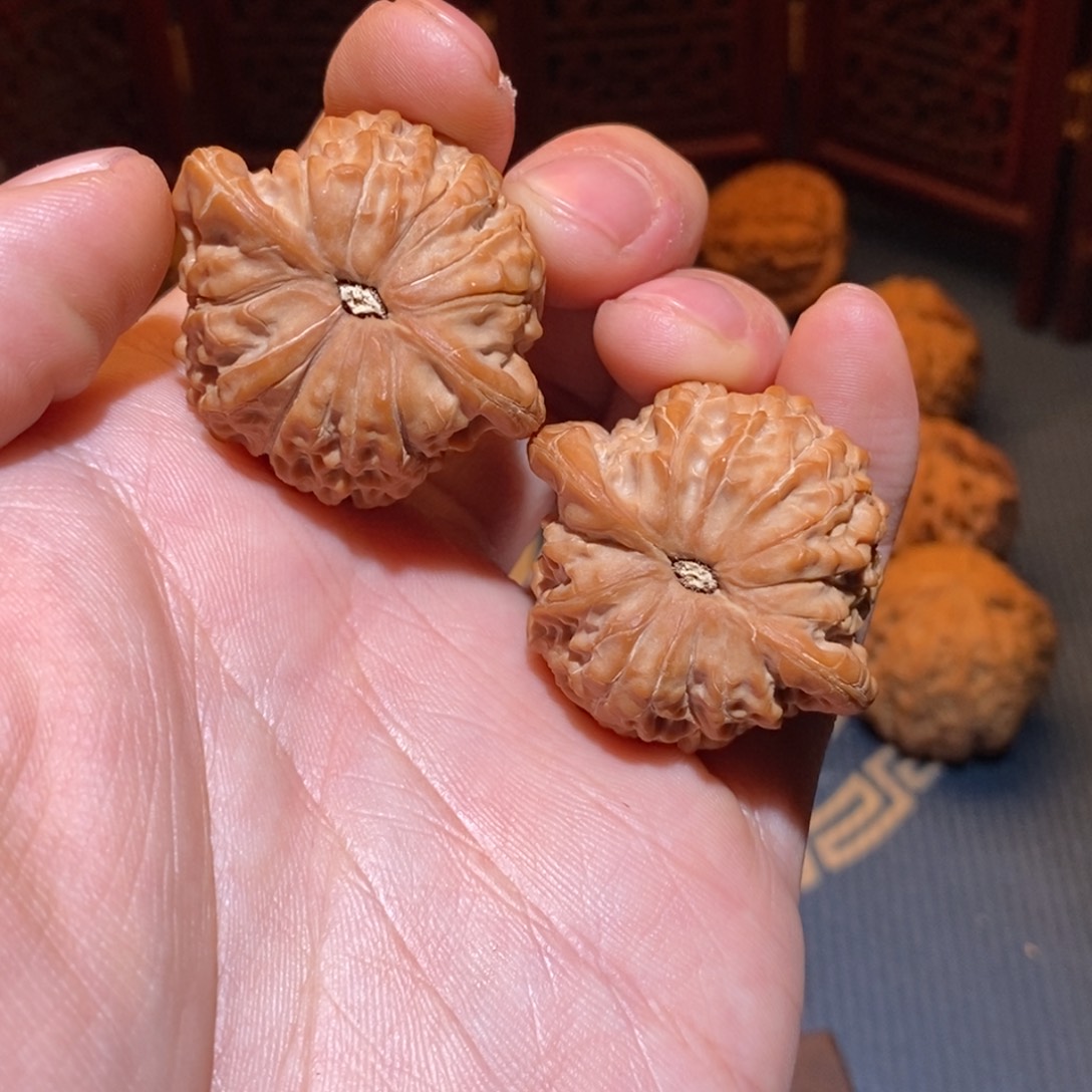 素***衫38尺 全品白茬 血麒麟