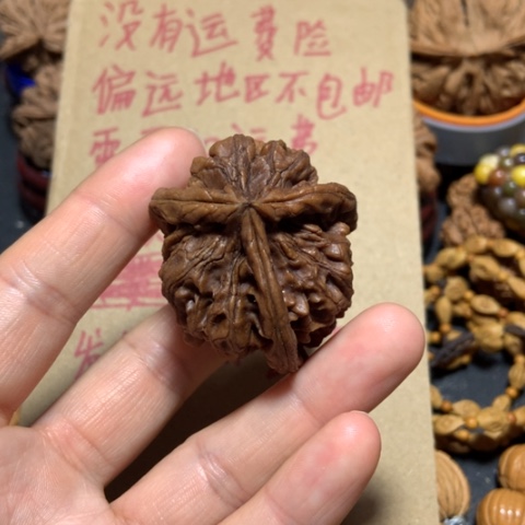 核桃用****0黑三棱一个