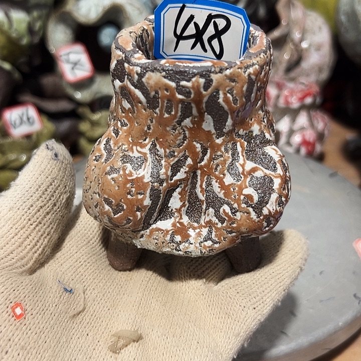 粗陶花盆，现在都不一样