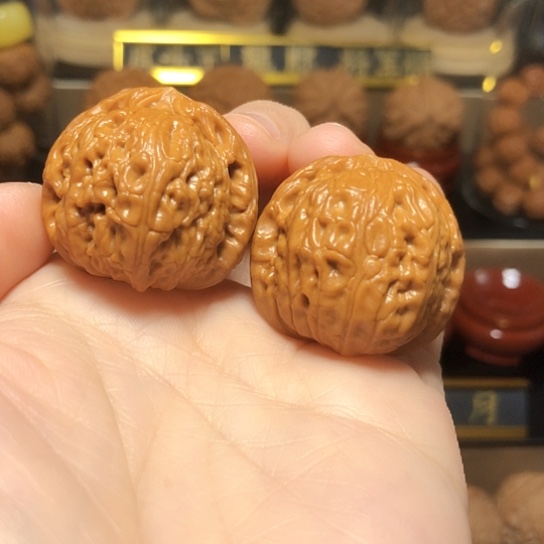 精品龙胆元宝手捻32尺全品