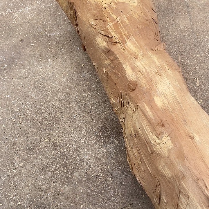 黄***者楠木（金丝楠）其他