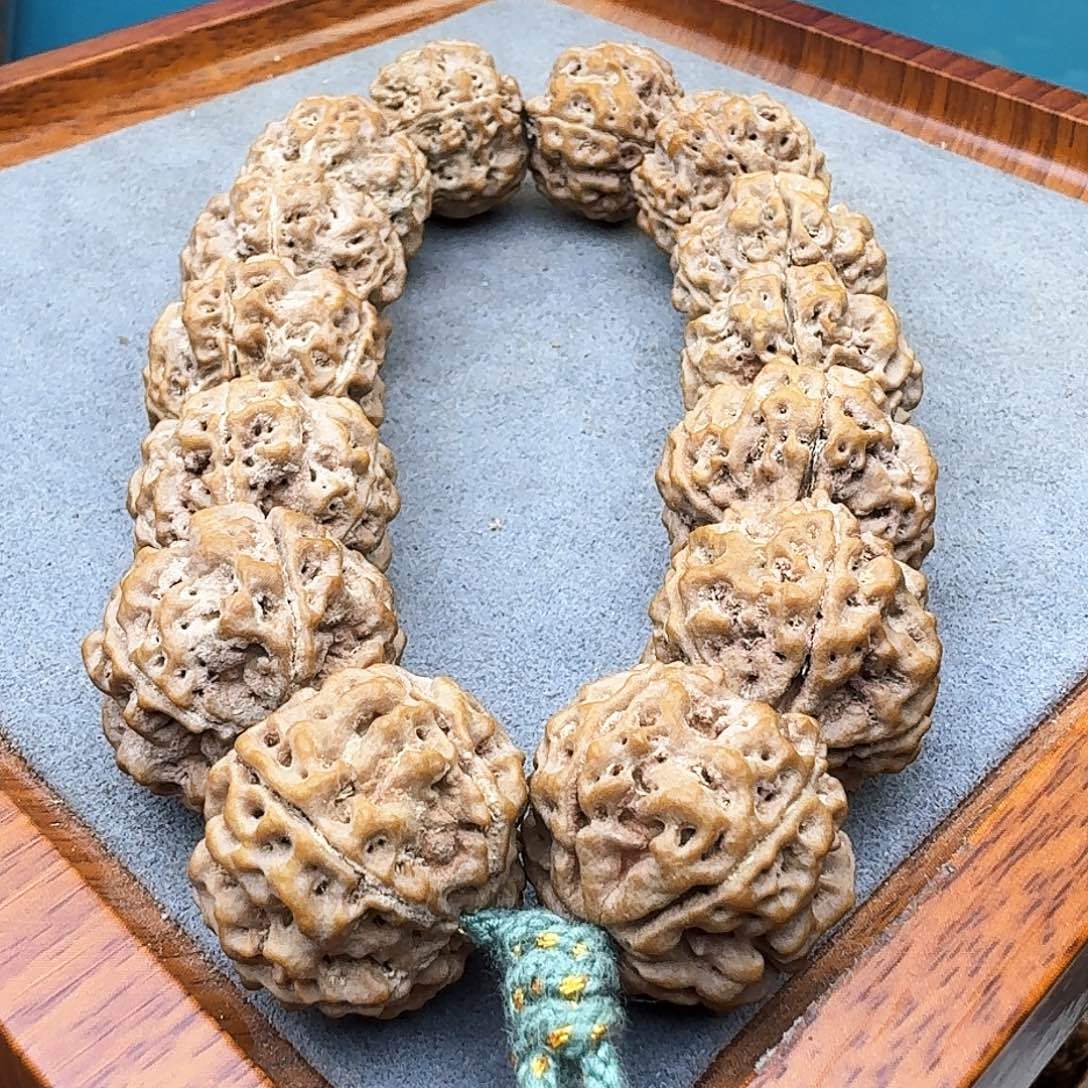 金刚菩提手串铁籽蜂窝双龙