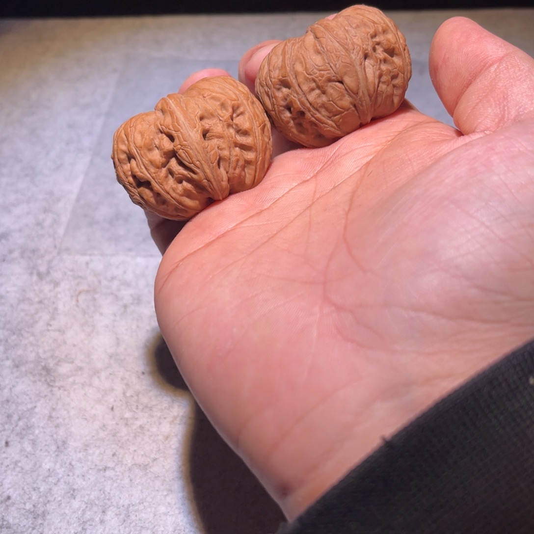 哈个v比一份吃饭vv不怀好意