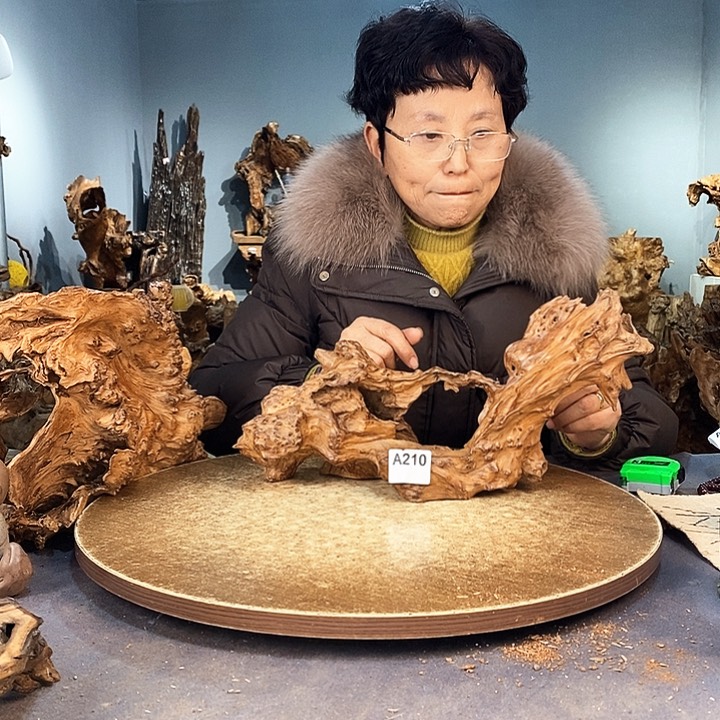 茶盏d**。株木随行根艺217