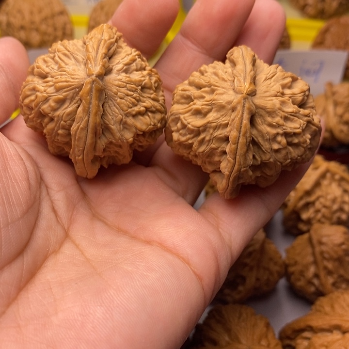 文玩核桃把件白狮子头