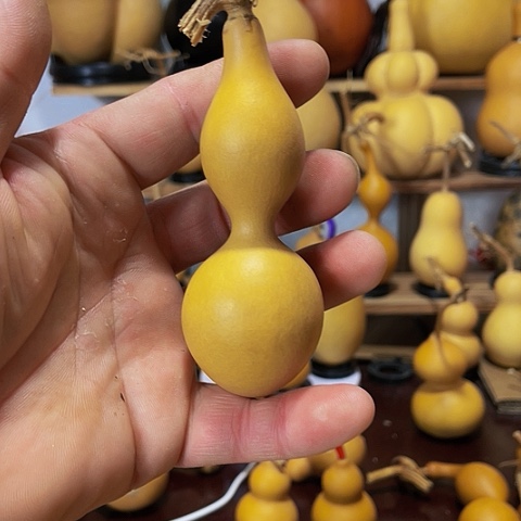 精品厚皮小蚂蚁葫芦