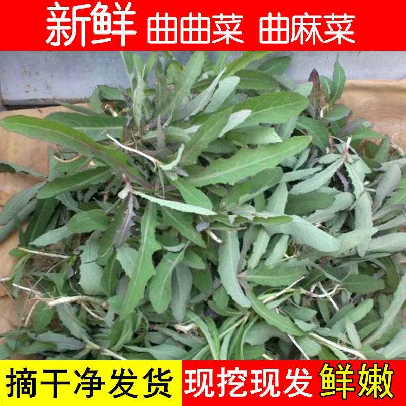 农特A新鲜曲麻菜250g±50g新鲜曲麻菜