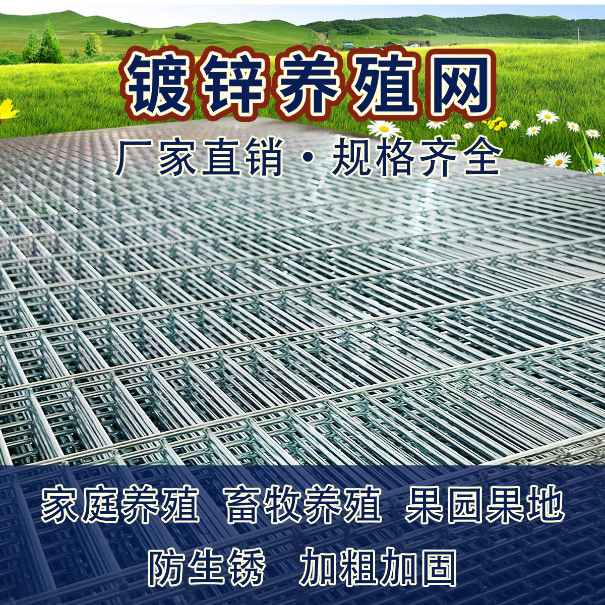 2.5X10孔3X10孔镀锌网片户外小型宠物笼鸡鸭鹅小型犬