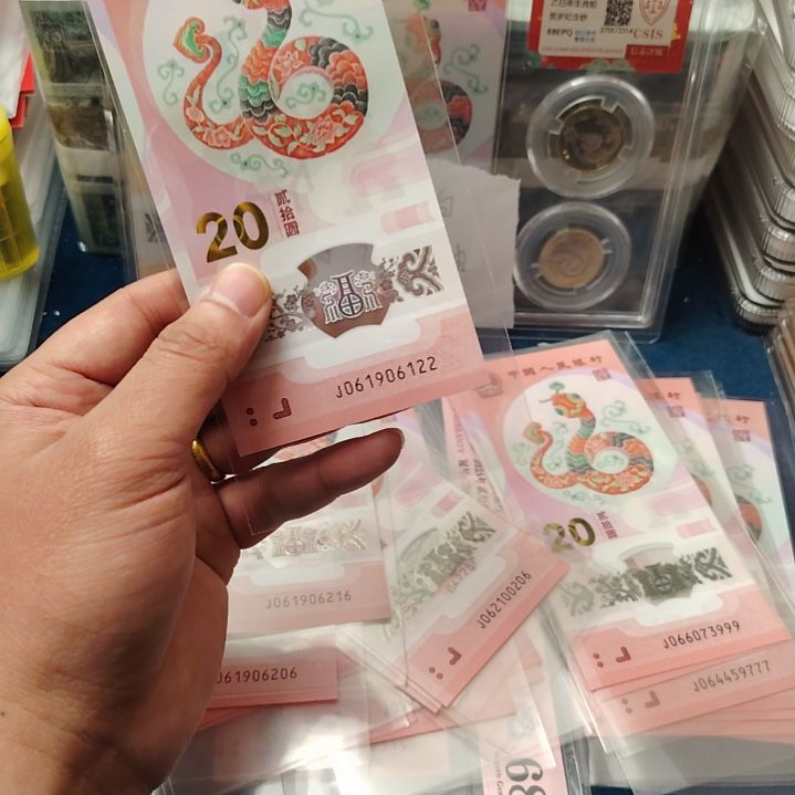 塑料蛇钞朦胧061906122