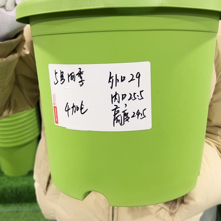 特价5号四季口29高24果绿色无托5只