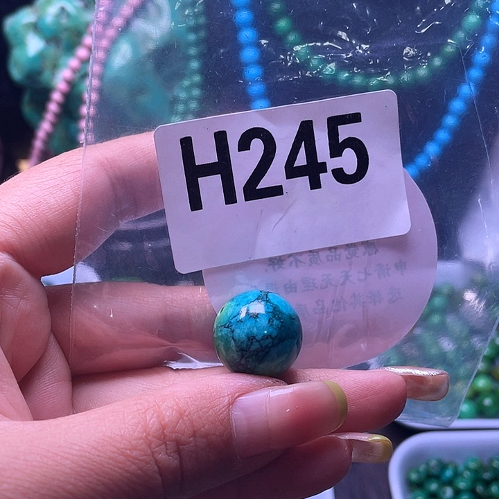 空竹粉丝福利专享