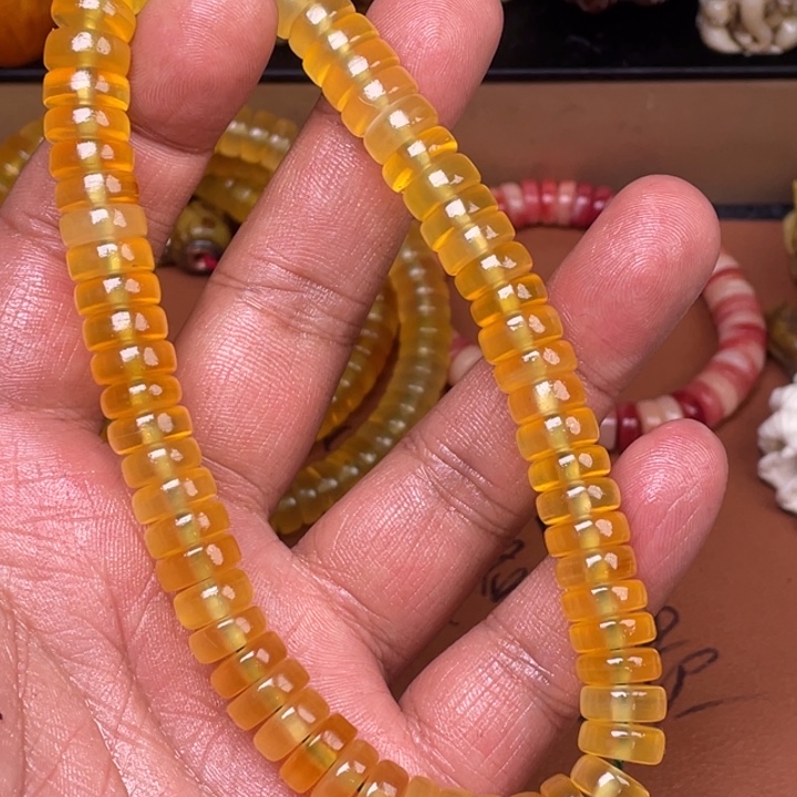 驼骨其他人工养殖