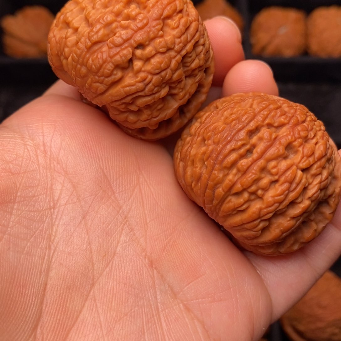 文玩核桃把件秦岭野生核桃