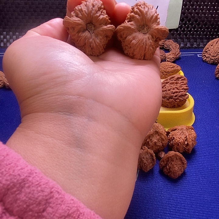 37尺凹底大眼天残带黄金丝